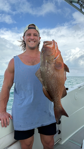 Beautiful red grouper caught in Biscayne Bay waters!