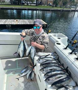 3 fish caught on fishing and tours excursion in FL