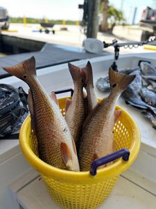 Inshore action you’ll always remember