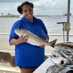 Redfish stacked and ready to go