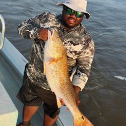 Let’s fish Port Arthur today