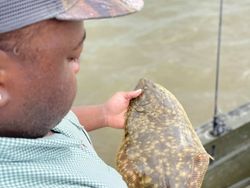 Still amazed by this beautiful Flounder!