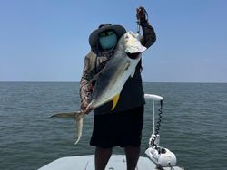 Huge Crevalle Jack catch of the day!!
