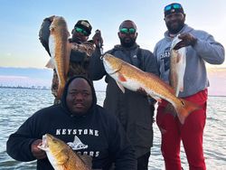 It's the Redfish Fever!!!!