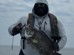 Biggest catch of the day! #BlackDrum