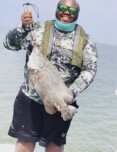 Tripletail fish caught in TX