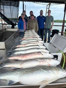 6 anglers fishing in Kingston