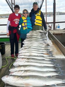3 people fishing in Kingston
