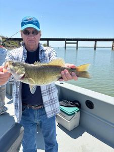 Largemouth bass caught while fishing in Kingston