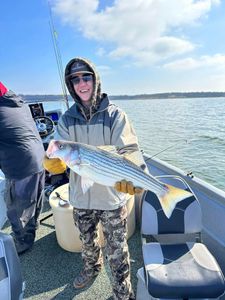 A fisherman catches a striped bass in Kingston