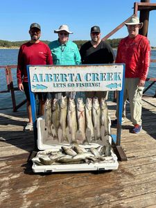 5 striped bass caught while fishing in OK