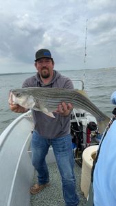 Striped bass fishing in Kingston