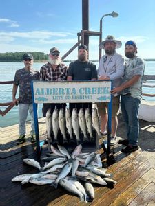 3 striped bass caught in Kingston