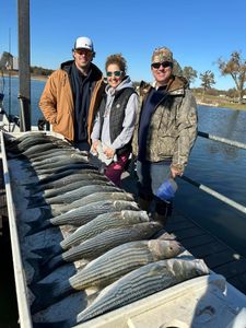 Two white bass fish caught while fishing in OK