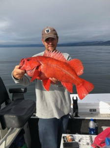A lone fisherman in Oregon reeling in a catch.