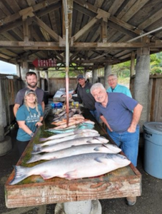 Sockeye salmon fishing in Gold Hill