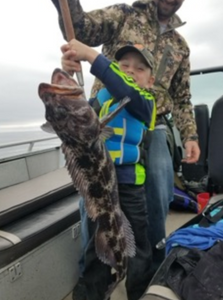 Oyster Toadfish, a 32-inch fish caught while fishing in OR