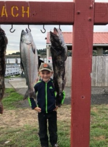 Two bluefish, 33 inches long, caught while fishing in Gold Hill