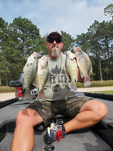 Four crappie fish caught in Missouri