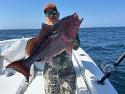Gag grouper caught in Crawfordville while fishing on cruises