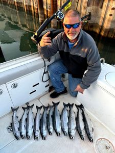 7 pink salmon, rainbow trout, chinook salmon fishing in WI