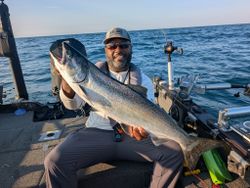 A chinook salmon being caught while fishing in Kenosha