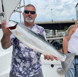 Chinook Salmon caught during fishing trip in Kenosha