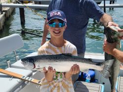 Coho Salmon caught while fishing in Kenosha