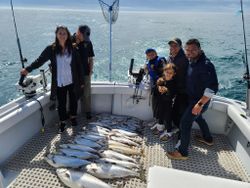 2 pink salmon caught in Kenosha