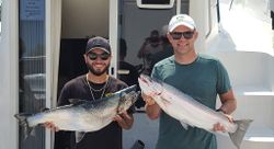 Two sea trout and bull trout in a fishing scene in WI
