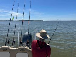 Breathtaking landscape of Midway atoll