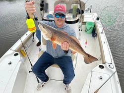 Redfish catch in Georgia