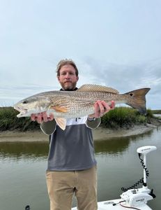 Redfish caught by angler in Georgia