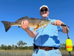 Redfish caught in GA