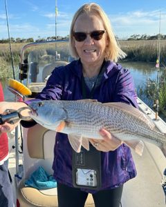 Redfish caught while fishing in GA
