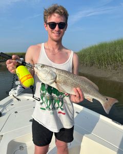 Redfish caught while fishing at Midway