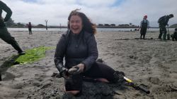 Clamming On The California Coast