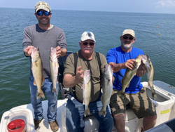 6 fishing rods, no fish visible, 3 people, location MI