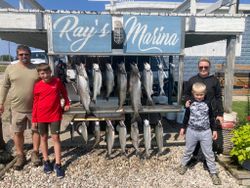 7 coho and chinook salmon caught on a fishing trip in MI