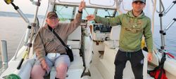 Chinook salmon fishing in MI