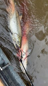 A single fisherman enjoying the beautiful scenery in Ludington