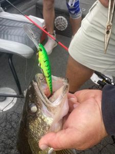 A scenic view of Ludington, a coastal town in Michigan.