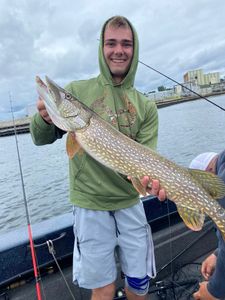 Northern Pike caught while fishing in Ludington