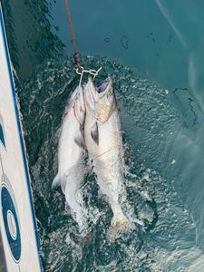 Scenic landscape with fishing in MI