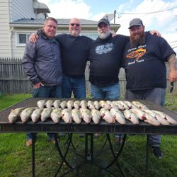 Walleye action at its best with Captain Theron