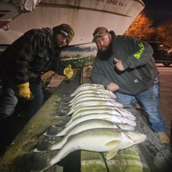 Walleye fishing excellence!