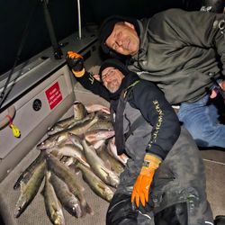 Detroit River Walleye adventures
