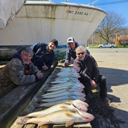 Detroit River delivers Walleye excitement
