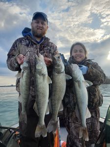 Two anglers posing with four large walleye and sauger fish caught in Michigan
