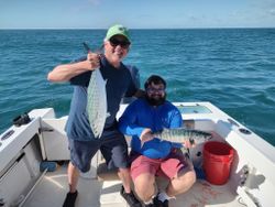 2 Atlantic Bonito fish caught in NC